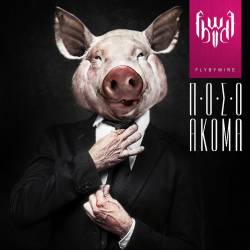 Fly By Wire : Poso Akoma